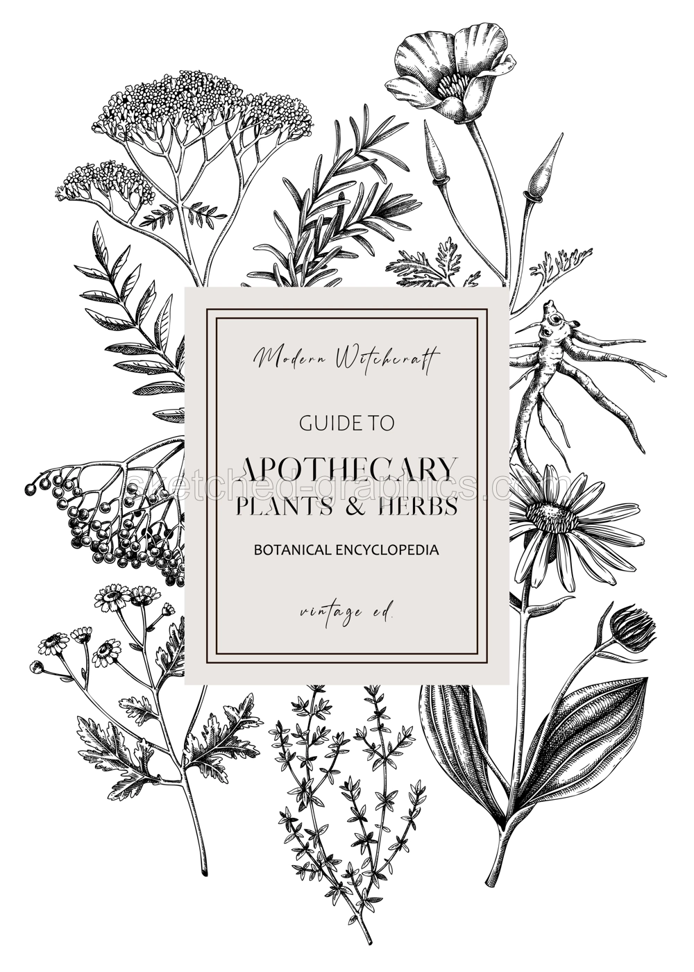 Apothecary plant frame design. Witchcraft book cover. Herbal remedies, medicinal plant, natural medicine hand-drawn vector illustration. Vinatge herbs background. NOT AI genereted Illustration